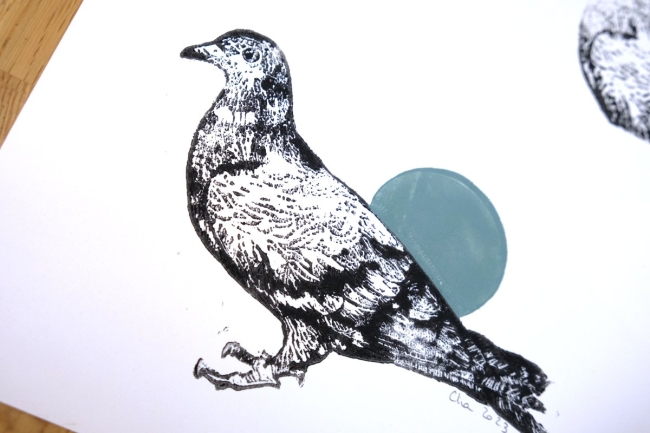 Linogravure Pigeon 