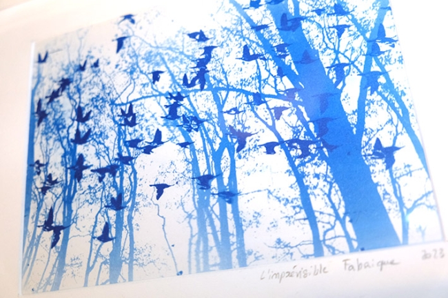 Cyanotype Tête D'or